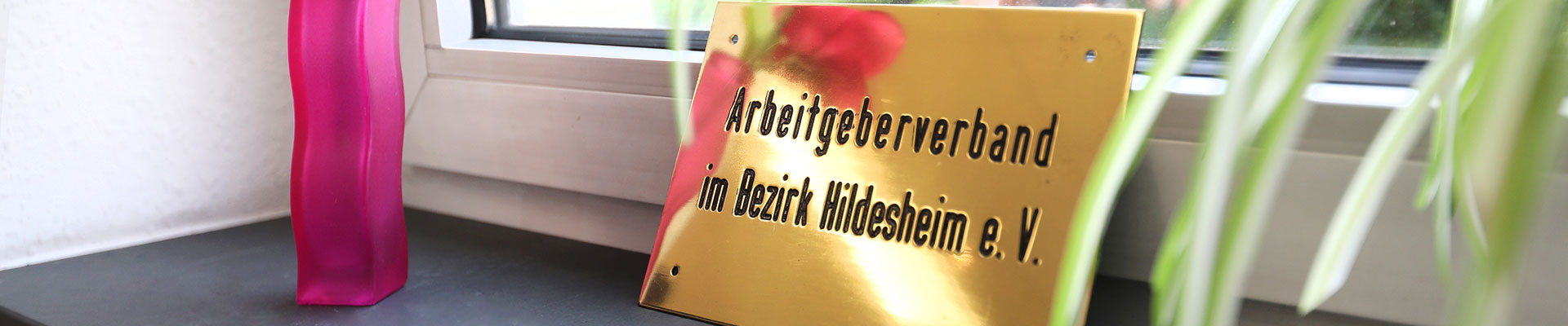 Kosten einer Mitgliedschaft im AGV Hildesheim